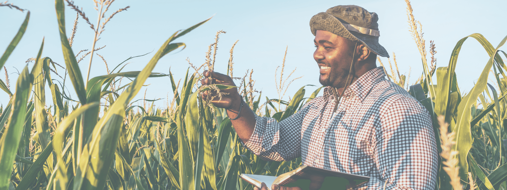 Agriculture Background